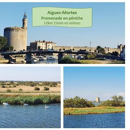 Maya Parking Clim Wifi Centre-ville Et Port - Rossiconciergerie - Linge Inclus *