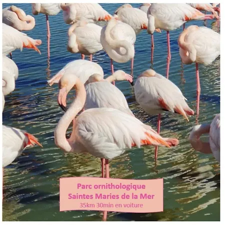 Appartement Maya Parking Clim Wifi Centre-ville Et Port - Rossiconciergerie - Linge Inclus La Grande Motte