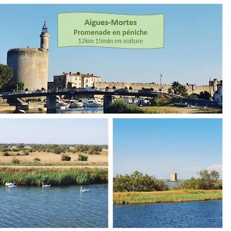 Maya Parking Clim Wifi Centre-ville Et Port - Rossiconciergerie - Linge Inclus